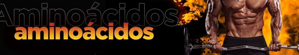 categoria Aminoacidos